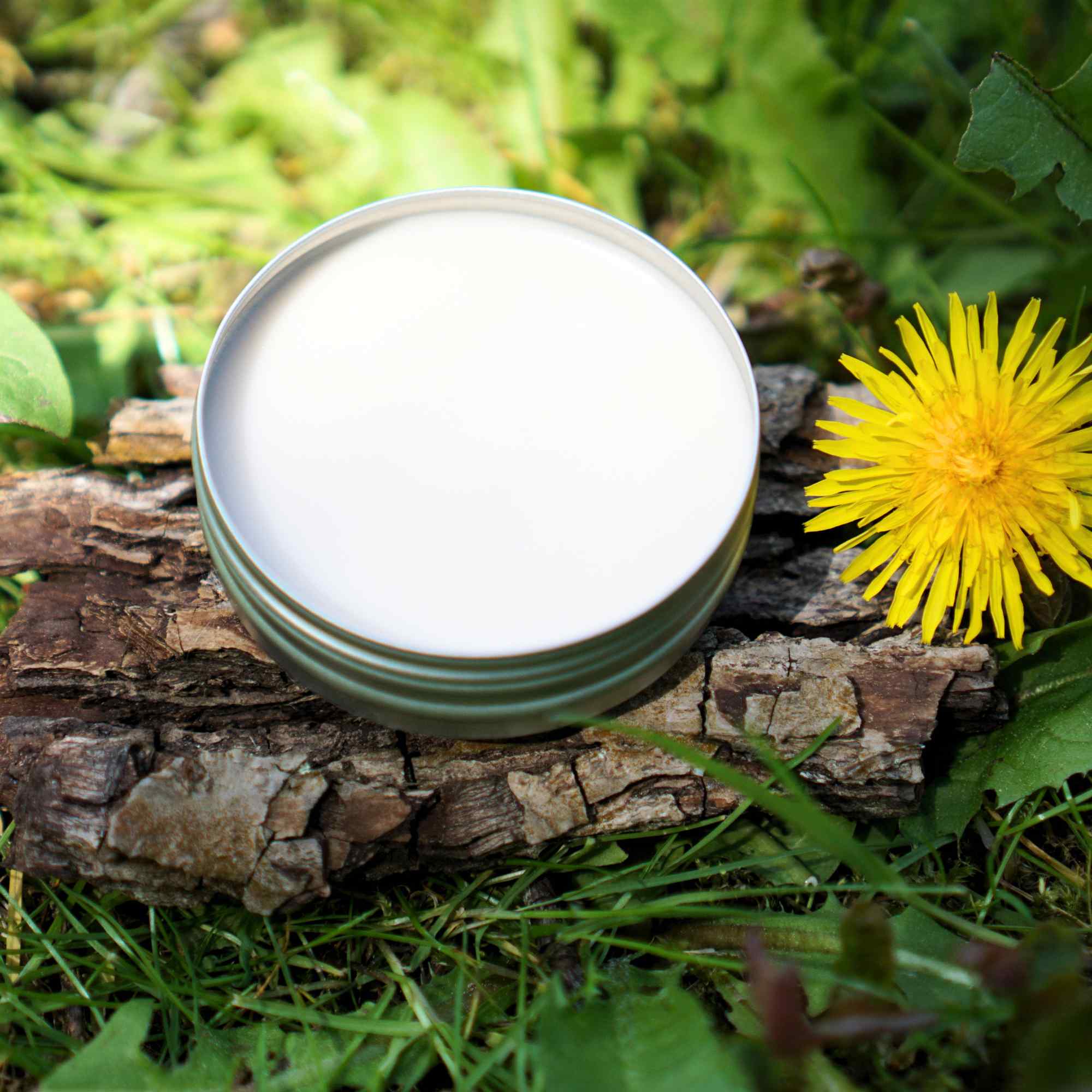 Plastikfreie Deocreme im Weißbechtiegel, vegan und Naturkosmetik-zertifiziert
