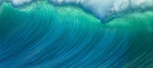 Welle - Save the Oceans